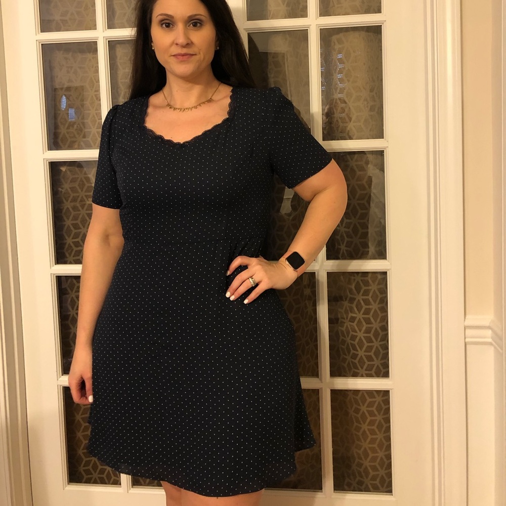 The Limited Navy and White Polka Dot Dress